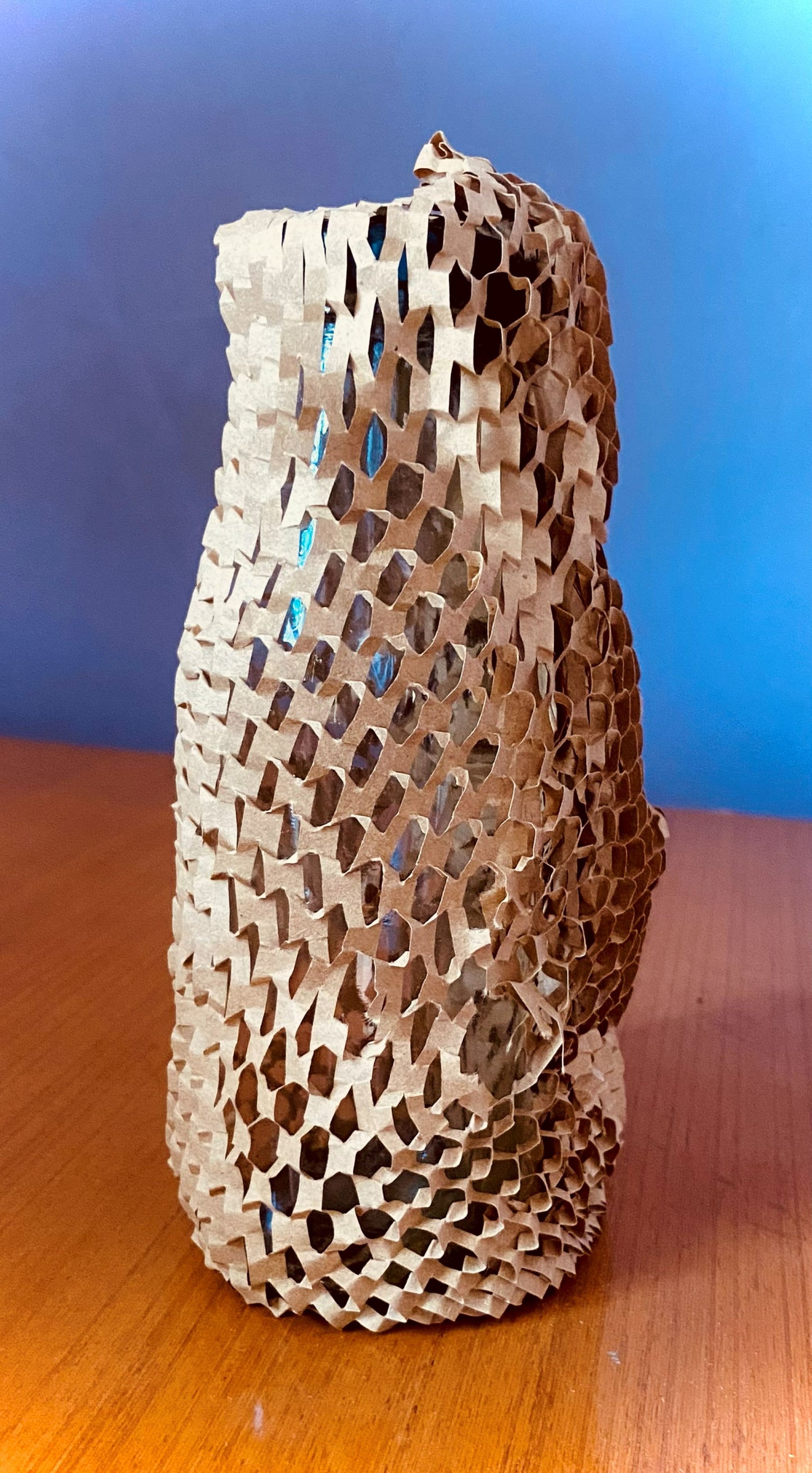 ReGenPack Premium Eco-Friendly Honeycomb Wrap - 250mm (D2C Series)