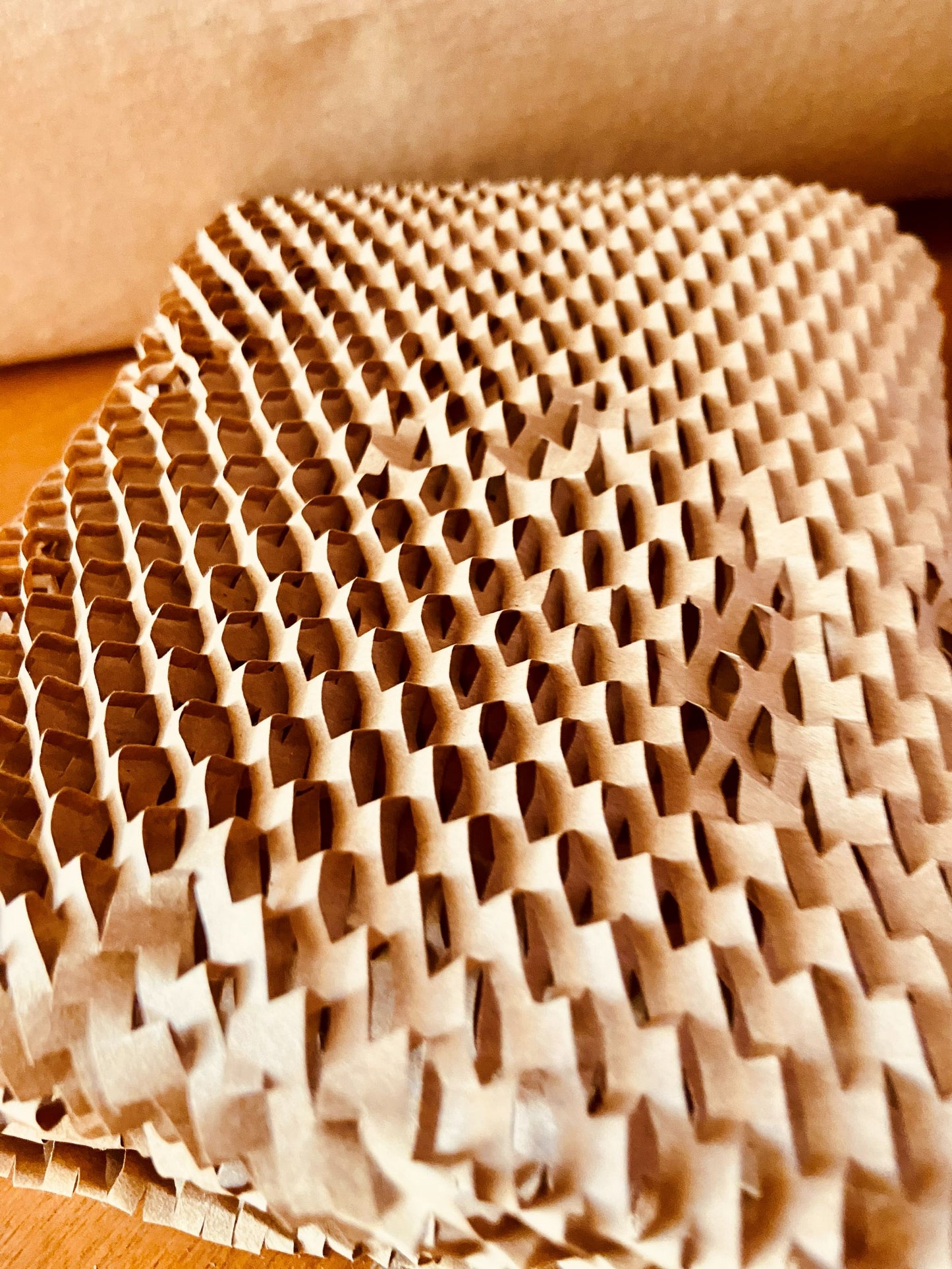 ReGenPack Premium Eco-Friendly Honeycomb Wrap - 250mm (D2C Series)